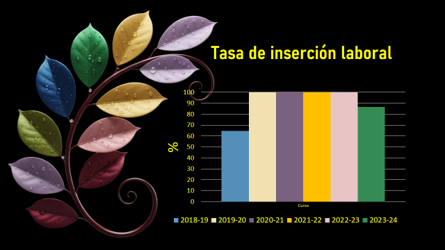 Inserción Laboral